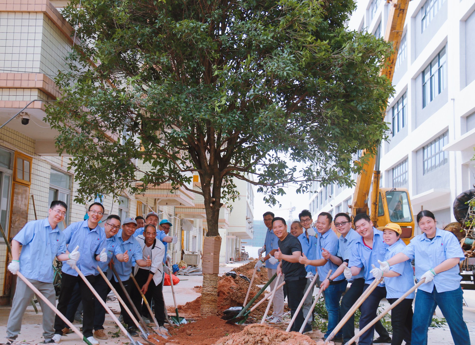 植樹(shù)節(jié)活動(dòng)